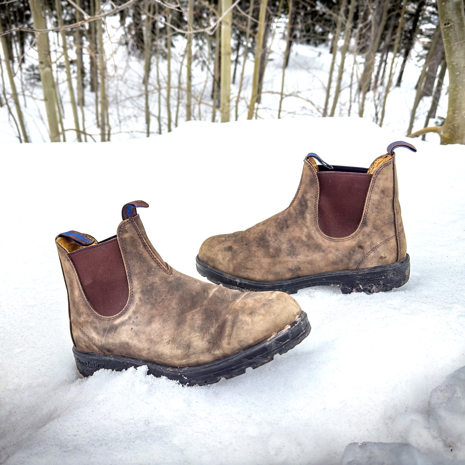 Blundstone shearling hotsell