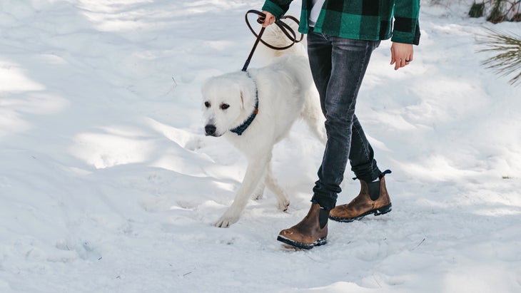 Blundstone for snow on sale