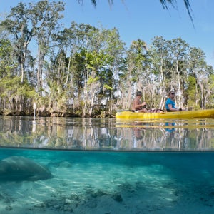 Explore the waterways of Crystal River, Florida.