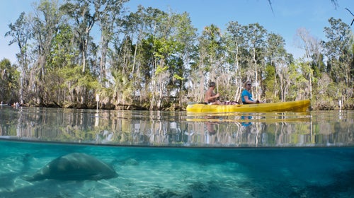 Explore the waterways of Crystal River, Florida.