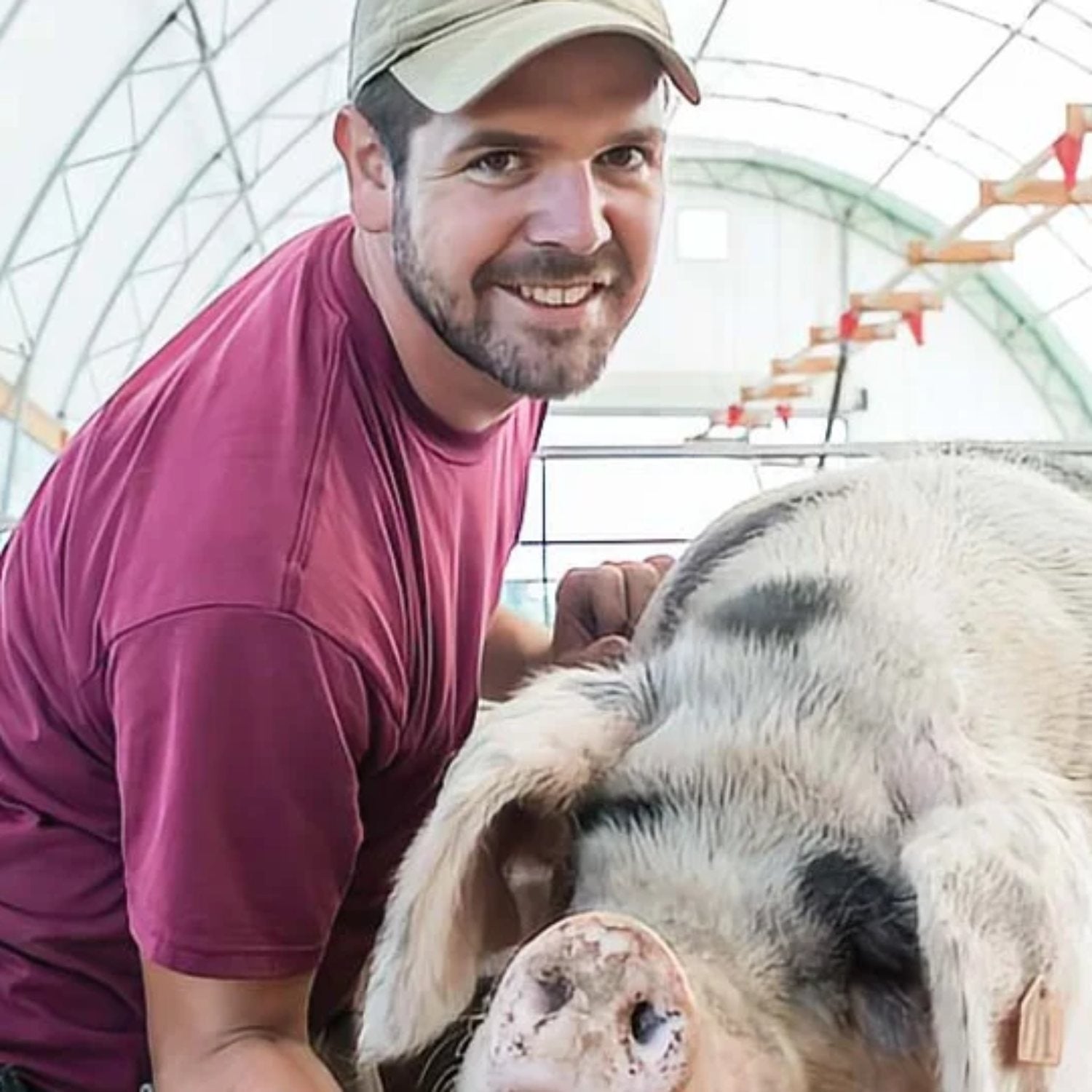 Rodale Institute farmer with a pastured hog