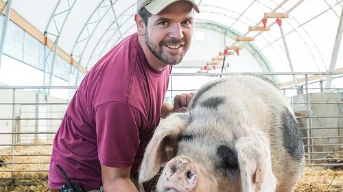 Rodale Institute Pastured Hogs