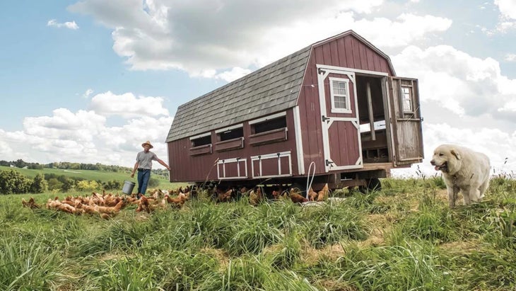 Spring-Creek-Farms