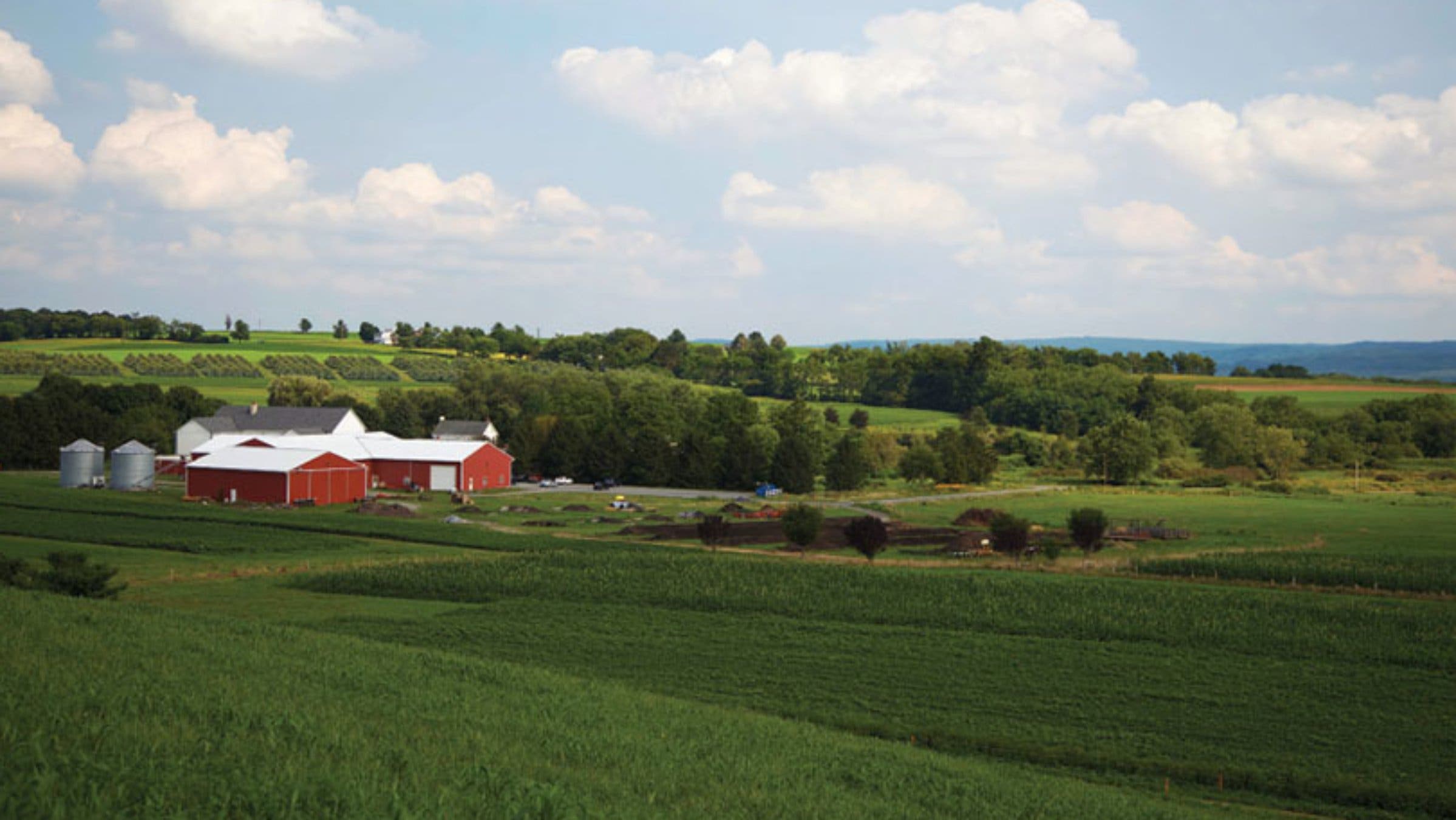 The Rodale Institute