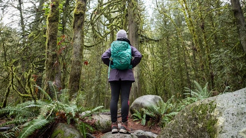 Forest Bathing - trees covered in moss and lichen surround a Eurasian woman in Lynn Canyon Park, North Vancouver, British Columbia, Canada
