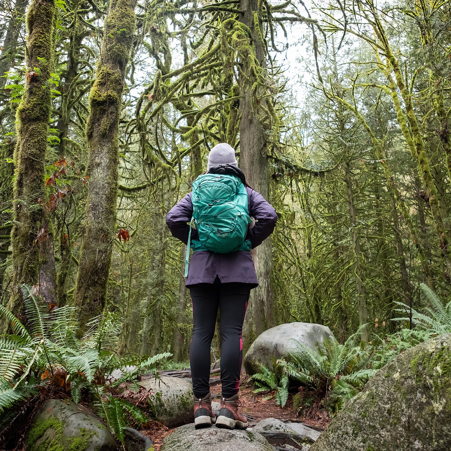 Forest Bathing - trees covered in moss and lichen surround a Eurasian woman in Lynn Canyon Park, North Vancouver, British Columbia, Canada