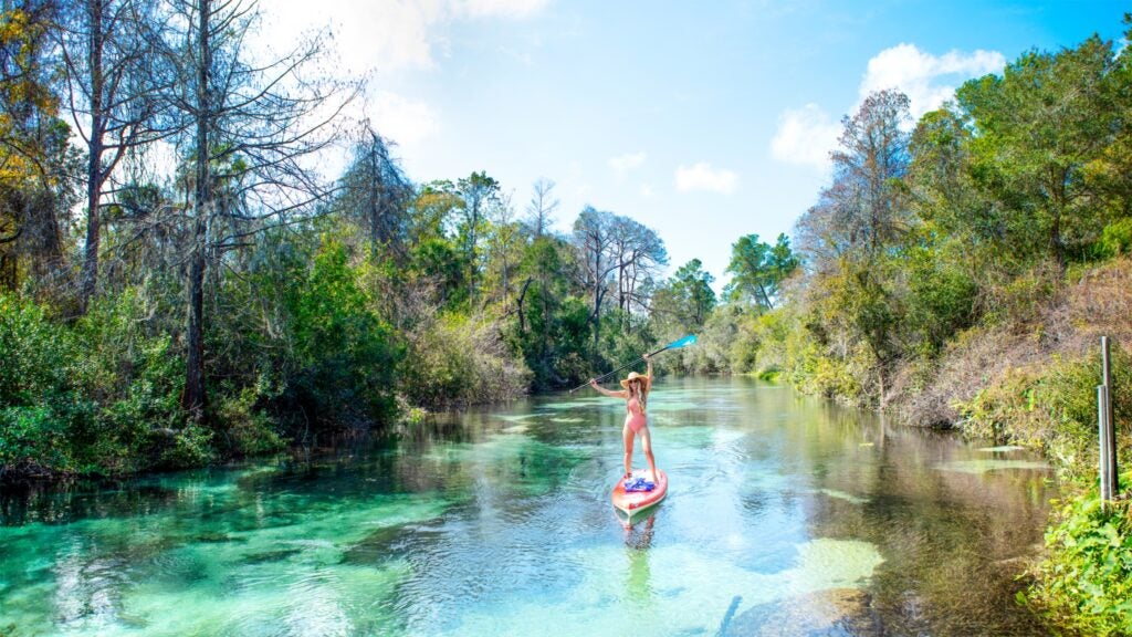 Visit Florida