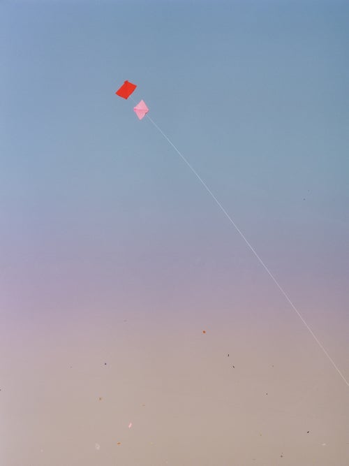 High fliers at Uttarayan