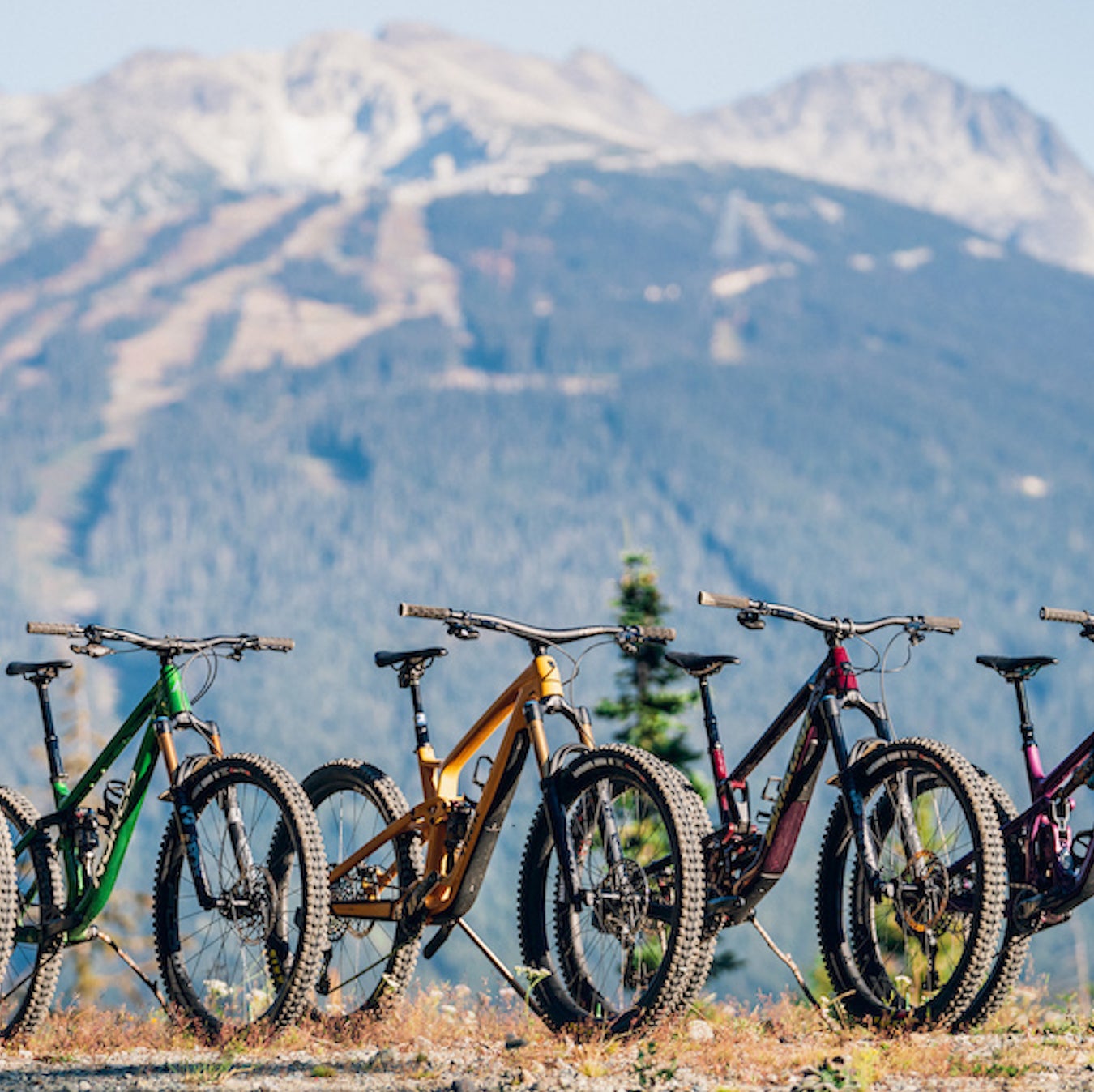 Types of MTB: Discover the variety of mountain biking