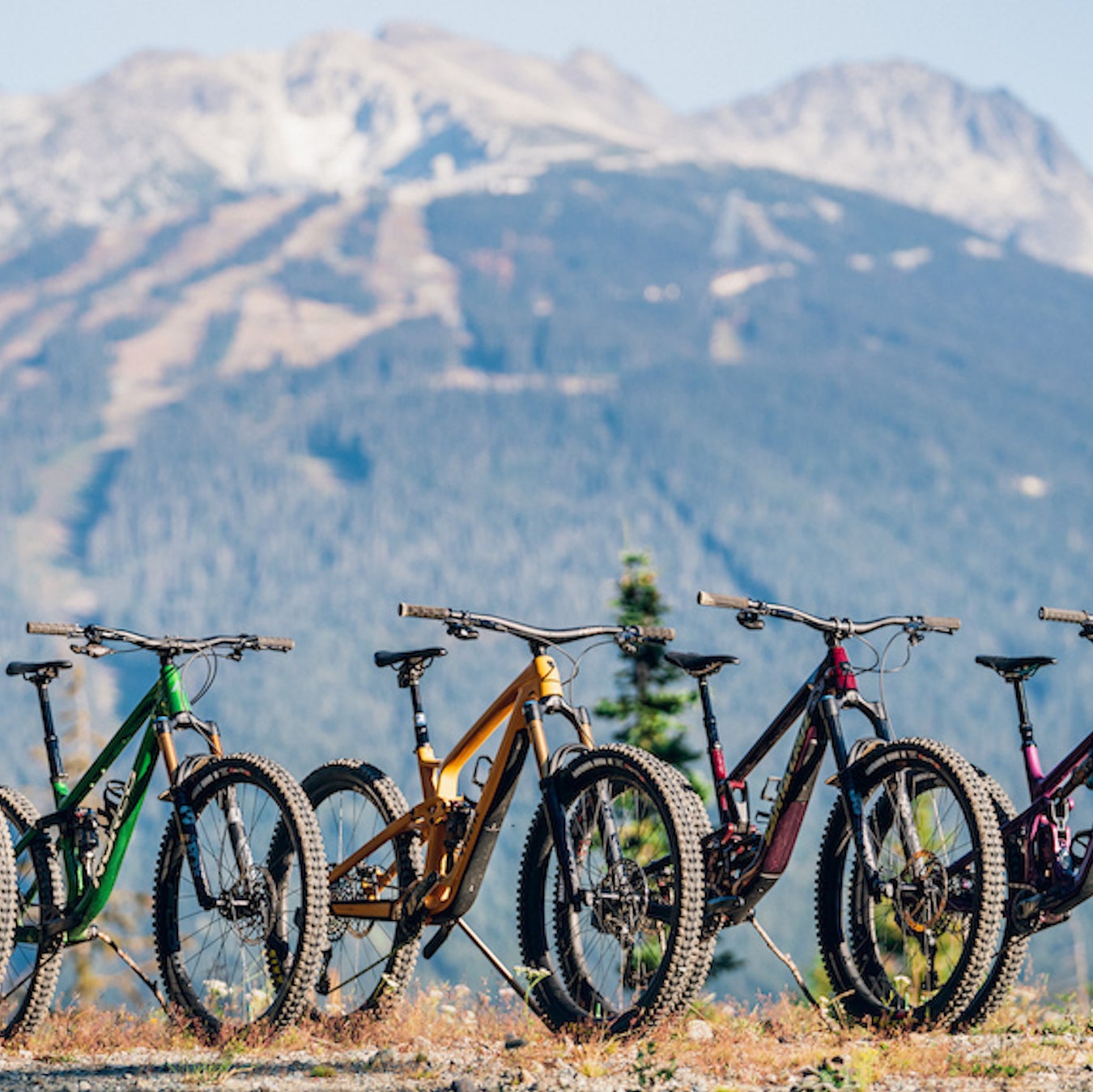 Factors To Consider When Buying A Mountain Bike Your Ultimate Guide 