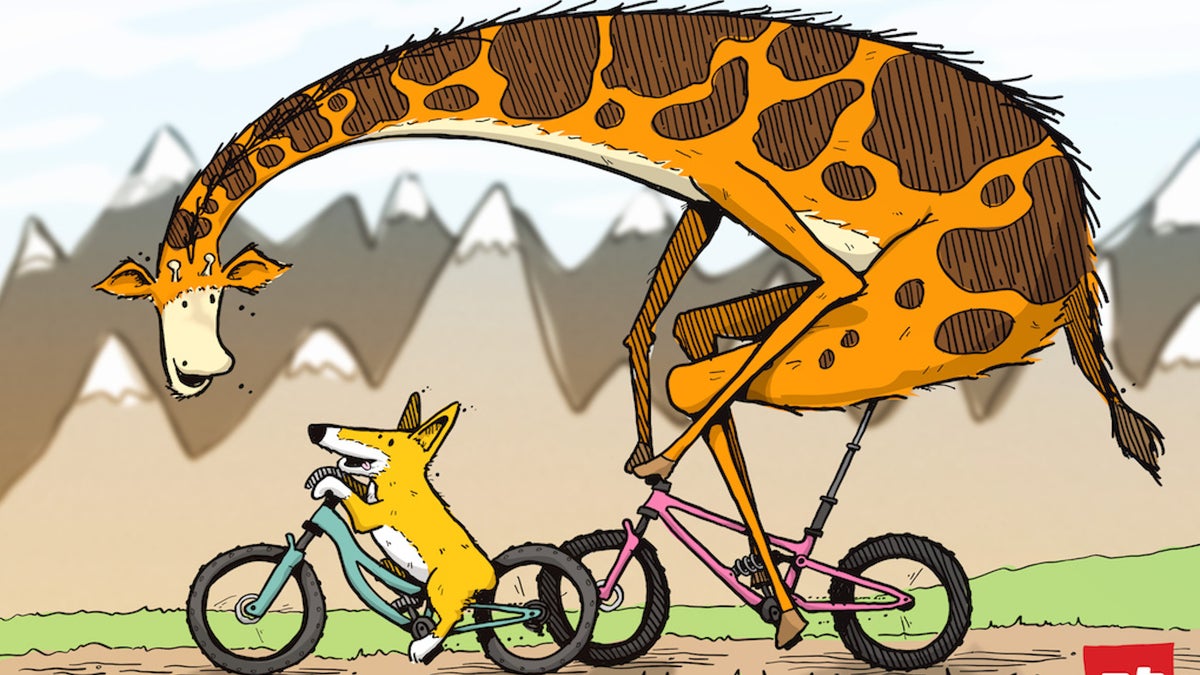 choosing the right size mountain bike