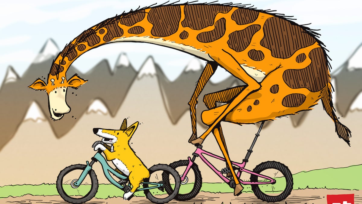 How to Choose the Right Size Mountain Bike in 2023