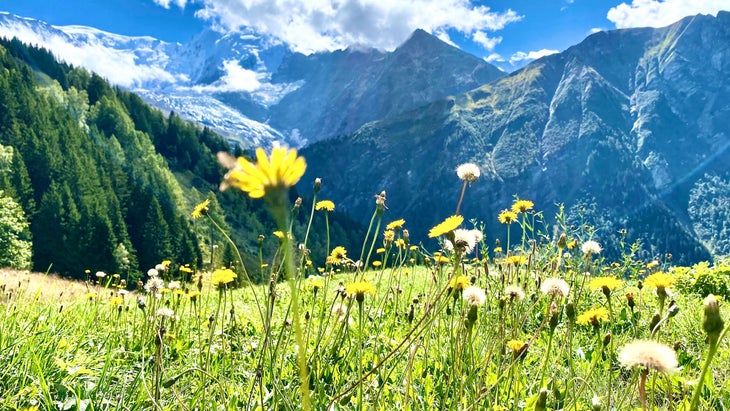 info tour du mont blanc