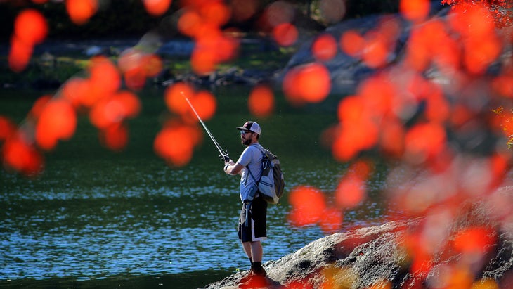 Hugging the Shore: A Paddler's Guide to the Lower Bay's State Parks