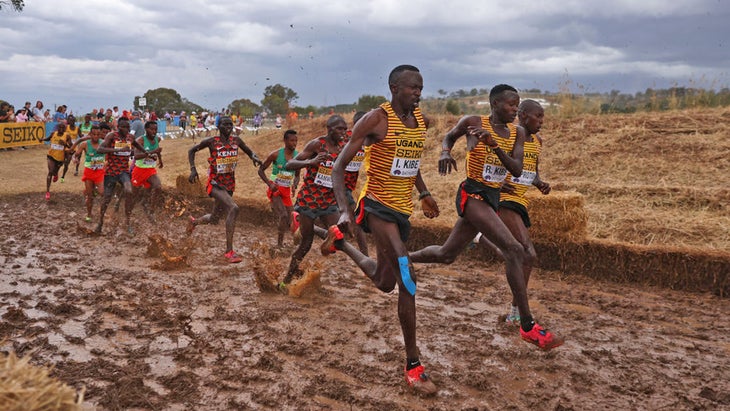 Cross country championships: 'This is proper running', Running