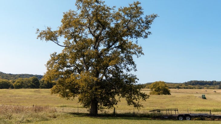 Bear Creek Farm
