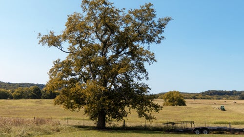 Bear Creek Farm landscape