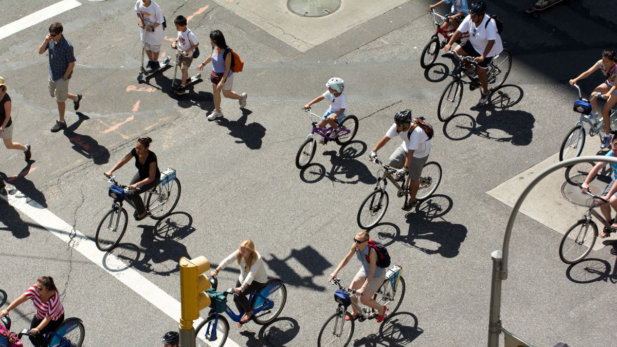 A Very Dumb History of the Bicycle License