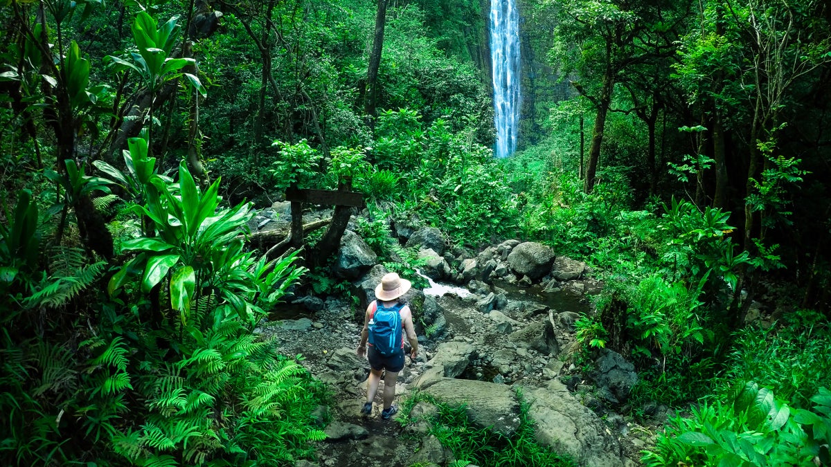 Hawaii Could Become the Next State to Bill Negligent Hikers for Rescue