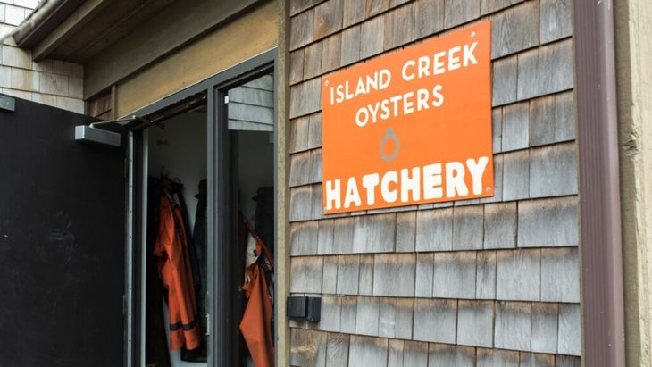 Island Creek Oysters Hatchery