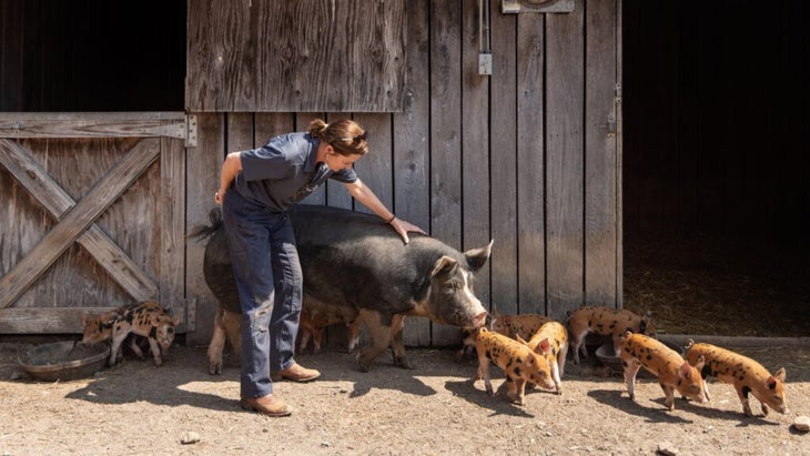 LeeAnn with the piglets