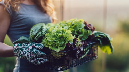 Eating greens for stronger muscles