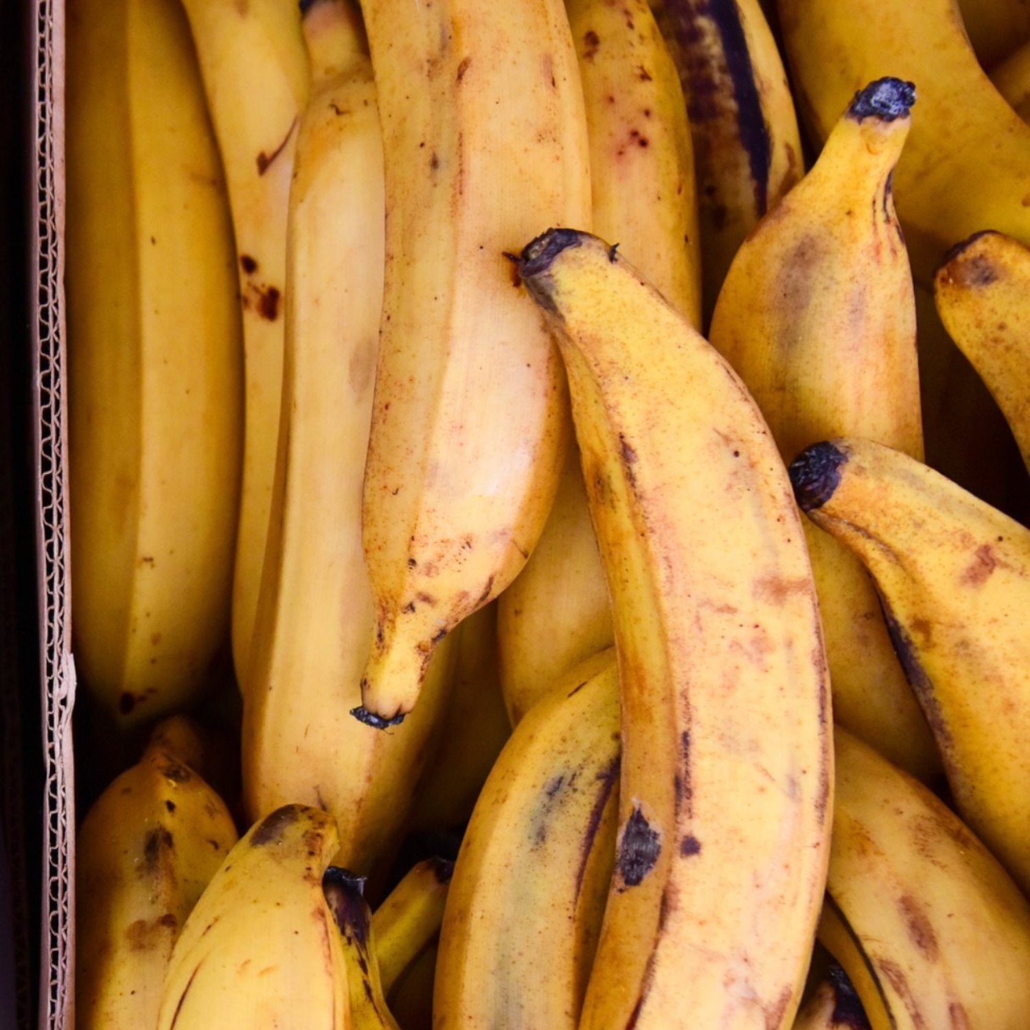 Can I Swap Bananas With Plantains Outside Online