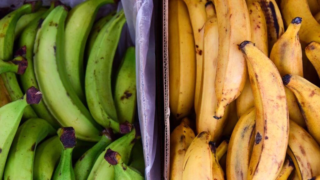Can I Swap Bananas With Plantains?