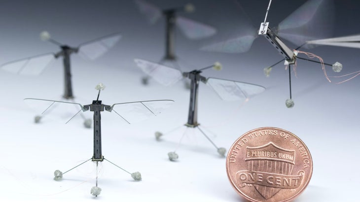 RoboBees