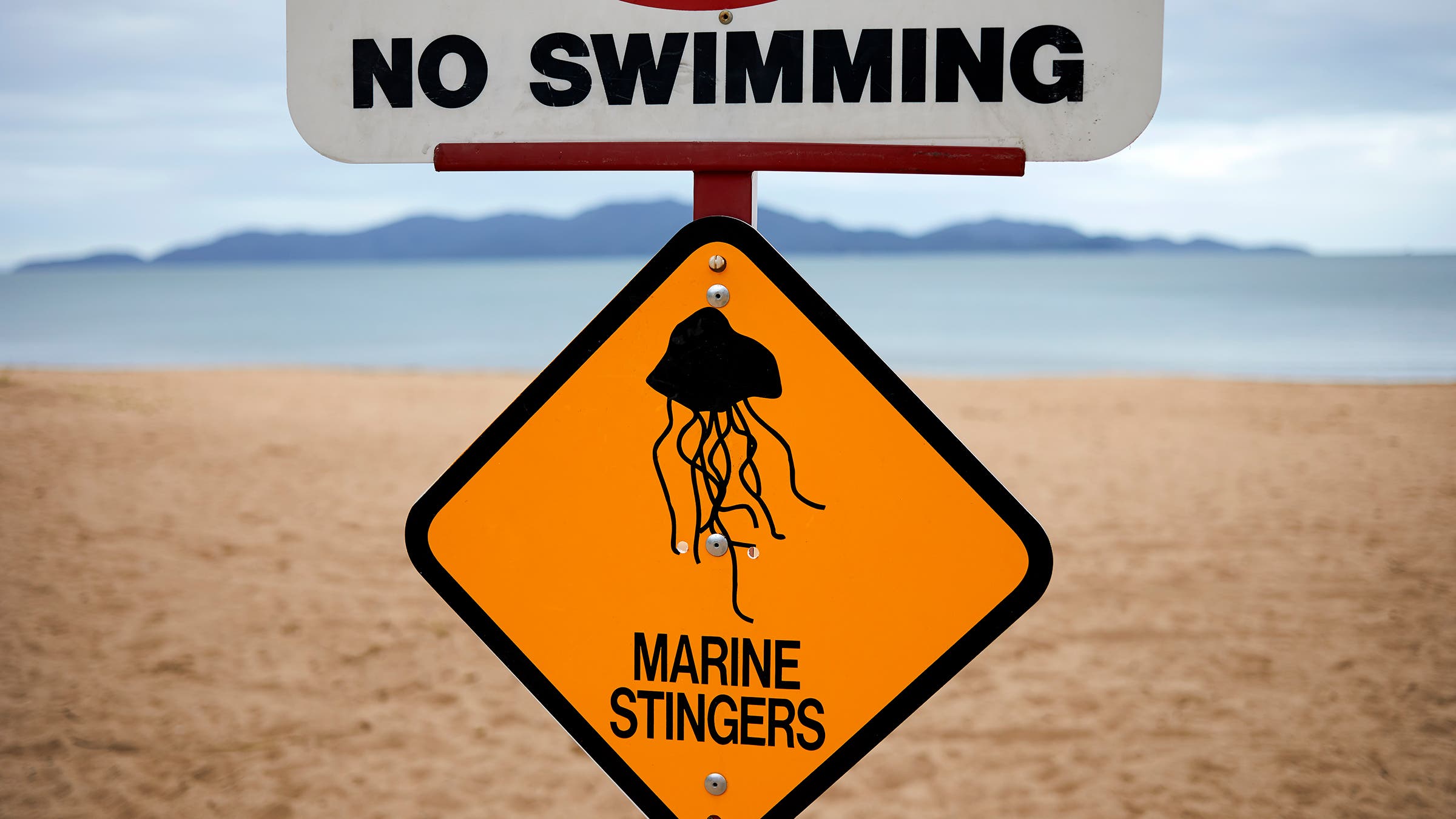 box jellyfish warning sign