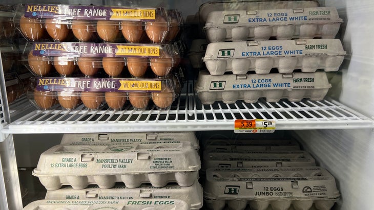 eggs in a grocery store display
