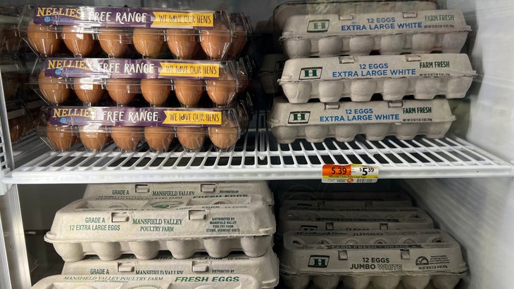 An easy grocery store swap-out: eggs in cardboard instead of plastic or styrofoam.