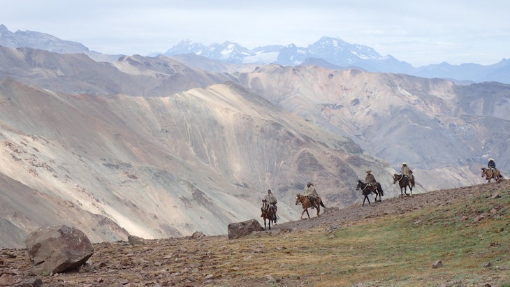 A group of arrieros, who transport goods and other pack animals, riding along the Greater Patagonian Trail in South America