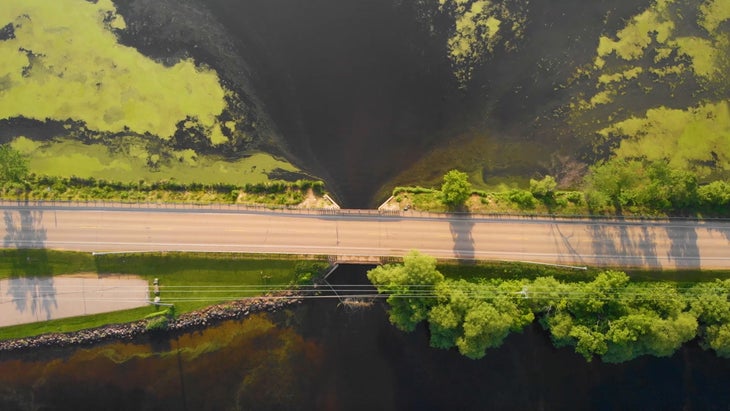 With 80% of Green Lake鈥檚 phosphorus flowing under two bridges, the GLA is actively exploring innovative solutions to improve water quality at these two sites.