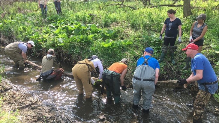 It took hundreds of volunteers to restore the water quality of Dakin Creek, one of Green Lake鈥檚 tributaries, to the point that brook trout鈥攁n indicator species of pristine water quality鈥攃ould thrive again for the first time in over 70 years.