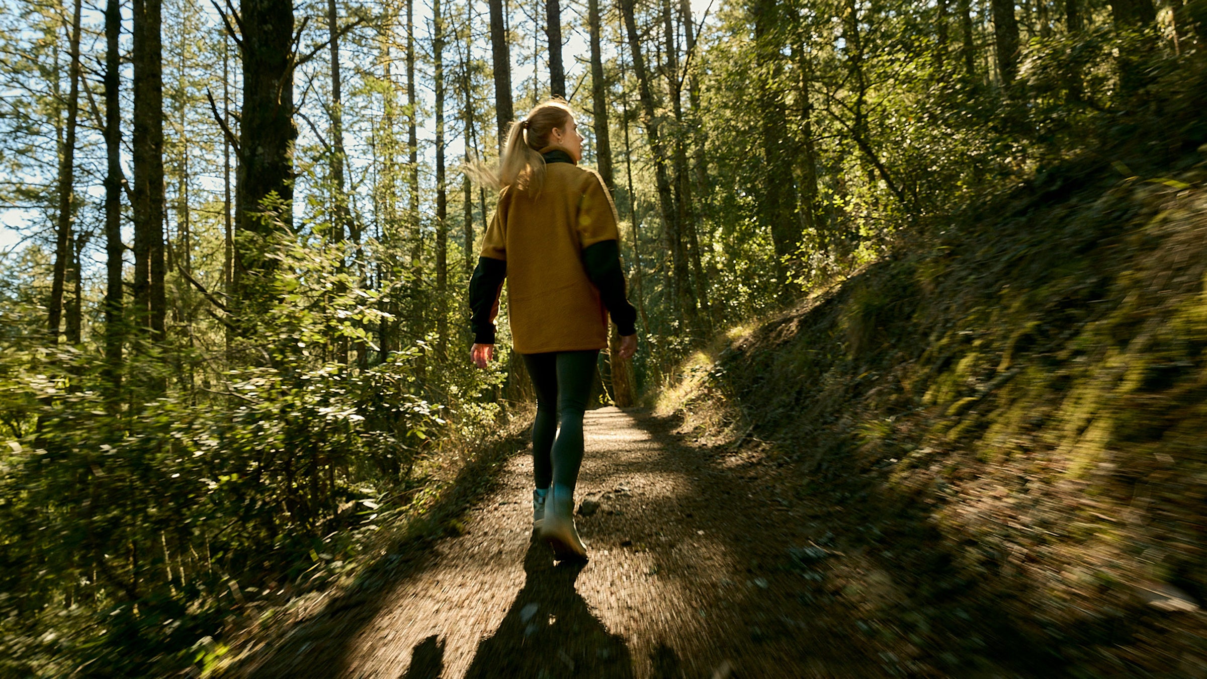 A hiker walks through a shady forest.