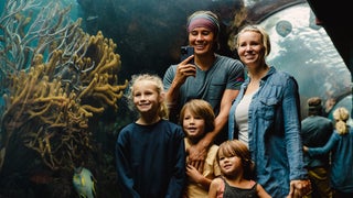 Your Guide to Inland Adventure in Bermuda