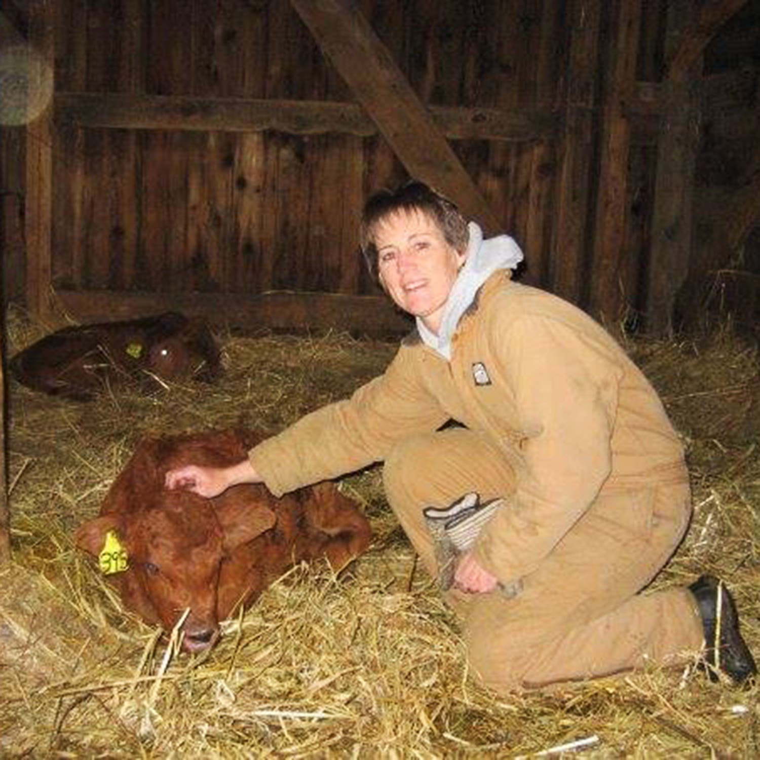 The author’s mother with two calves