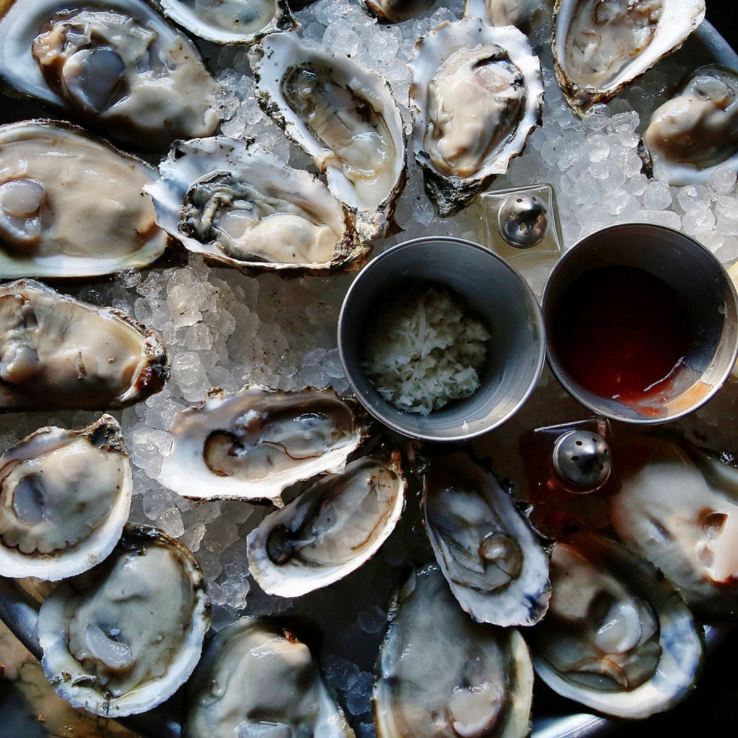 Winter Oyster Farming: What Happens in the Offseason?