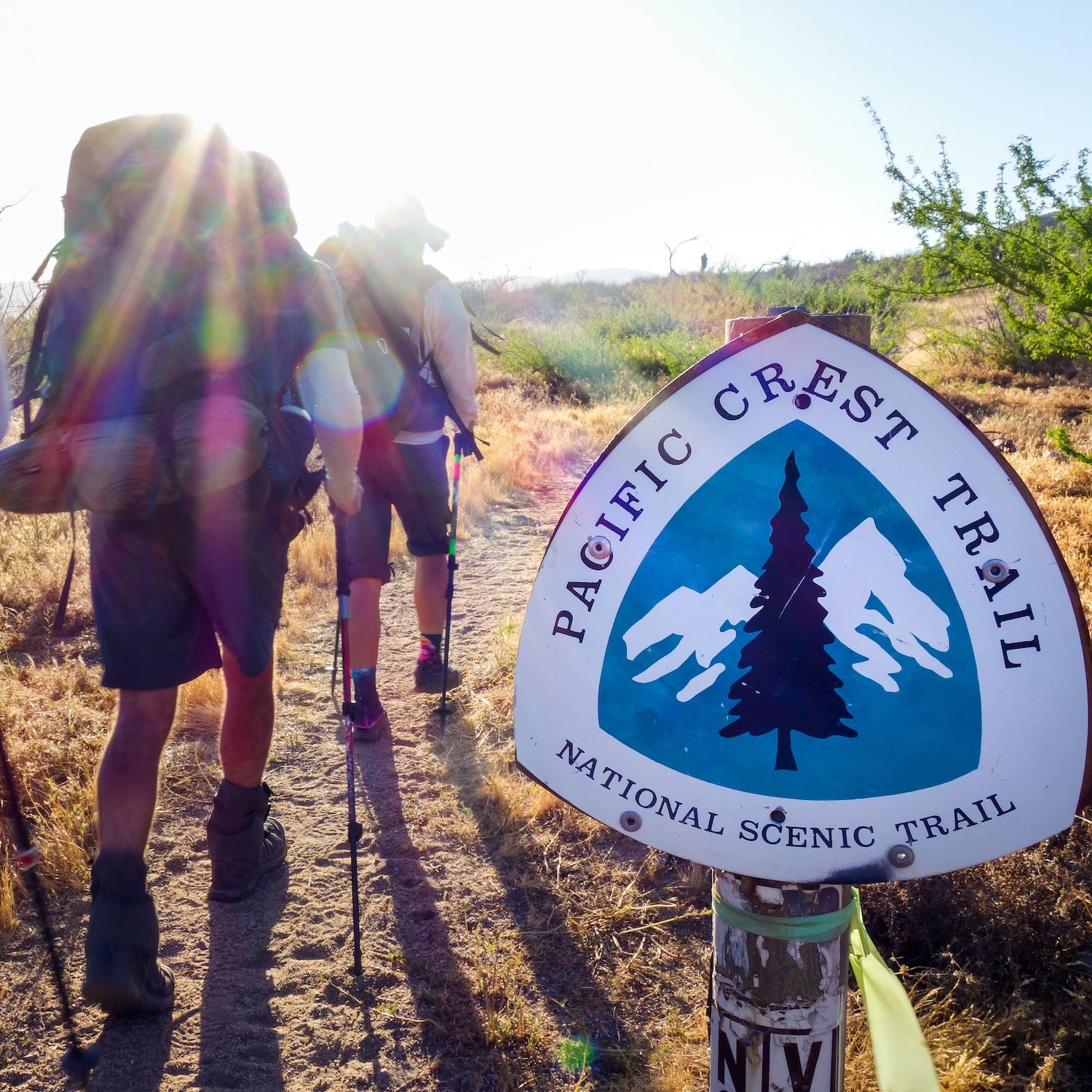 Hiking the Pacific Crest Trail A Beginner s Guide