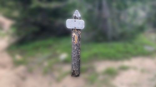blank trail sign on blurry background