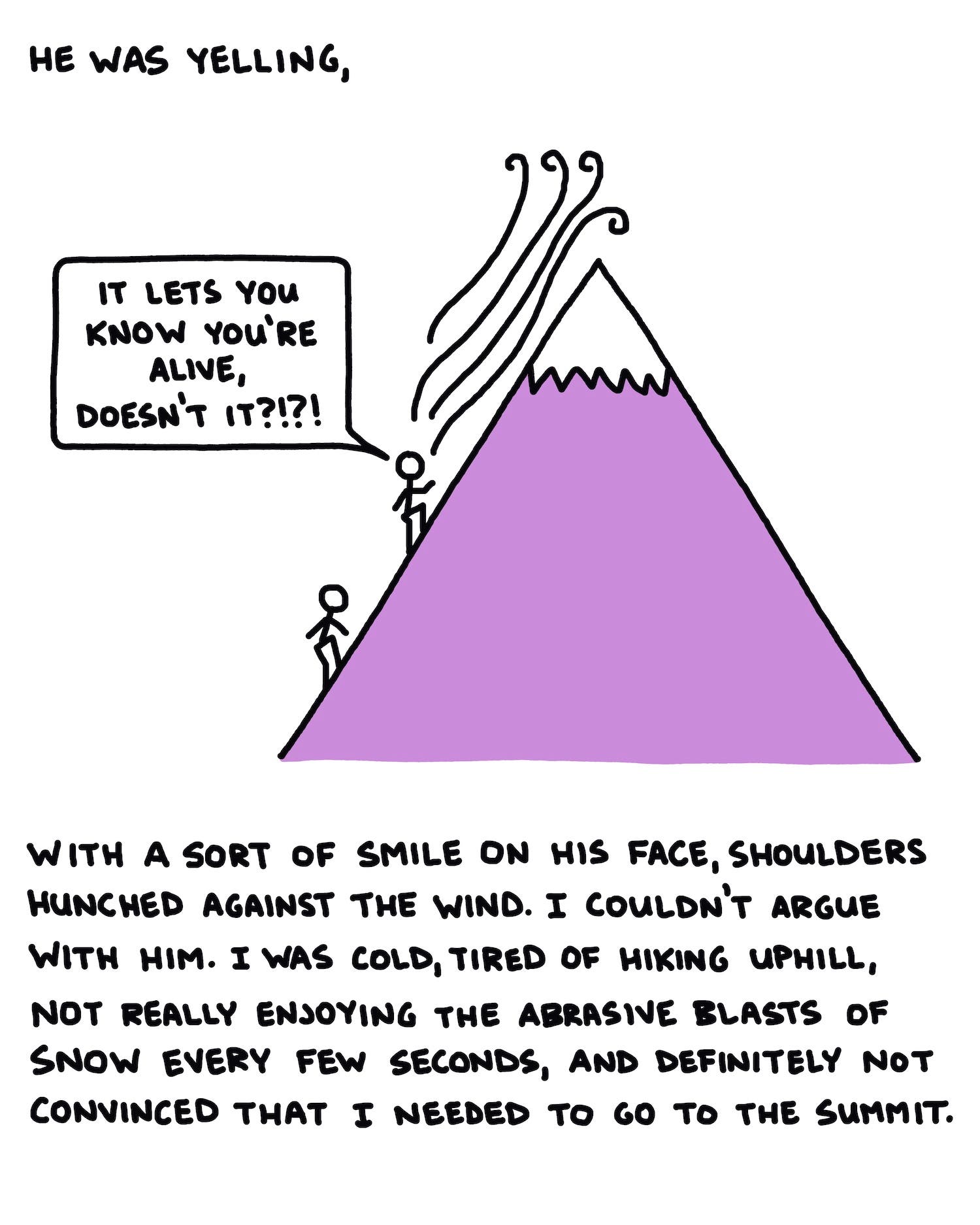 He was yelling, “It lets you know you’re alive, doesn’t it?!?!” with a sort of smile on his face, shoulders hunched against the wind. I couldn’t argue with him. I was cold, tired of walking uphill, not really enjoying the abrasive blasts of snow every few seconds, and definitely not convinced that I needed to go to the summit. 