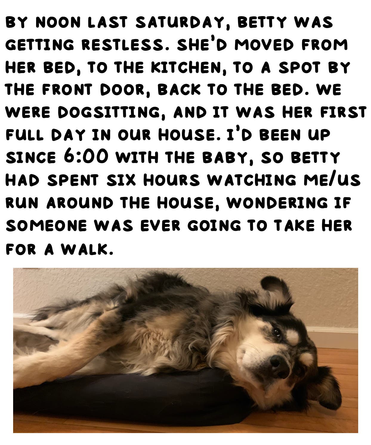 by noon last saturday, betty was getting restless. she’d moved from her bed, to the kitchen, to a spot by the front door, back to the bed. we were dogsitting, and it was her first full day in our house. i’d been up since 6:00 with the baby, so betty had spent six hours watching me/us run around the house, wondering if someone was ever going to take her for a walk. 