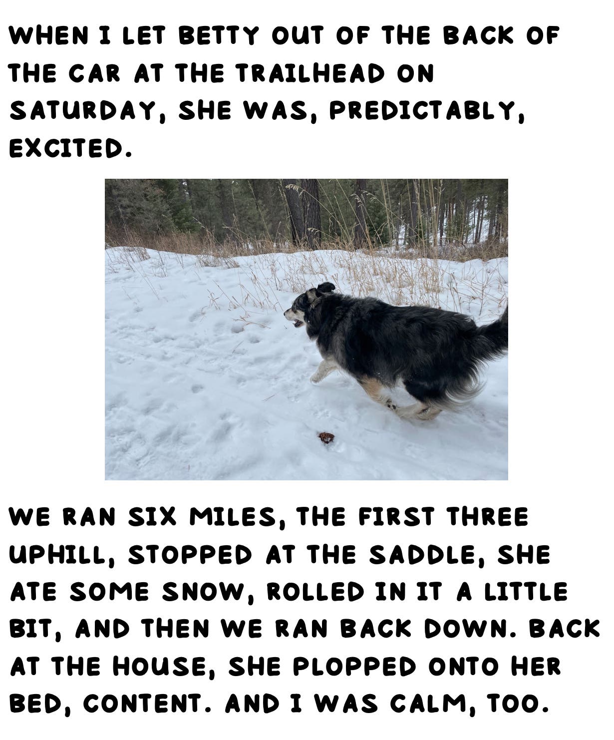 when i let betty out of the back of the car at the trailhead on saturday, she was, predictably, excited. we ran six miles, the first three uphill, stopped at the saddle, she ate some snow, rolled in it a little bit, and then we ran back down. back at the house, she plopped onto her bed, content. and i was calm, too.