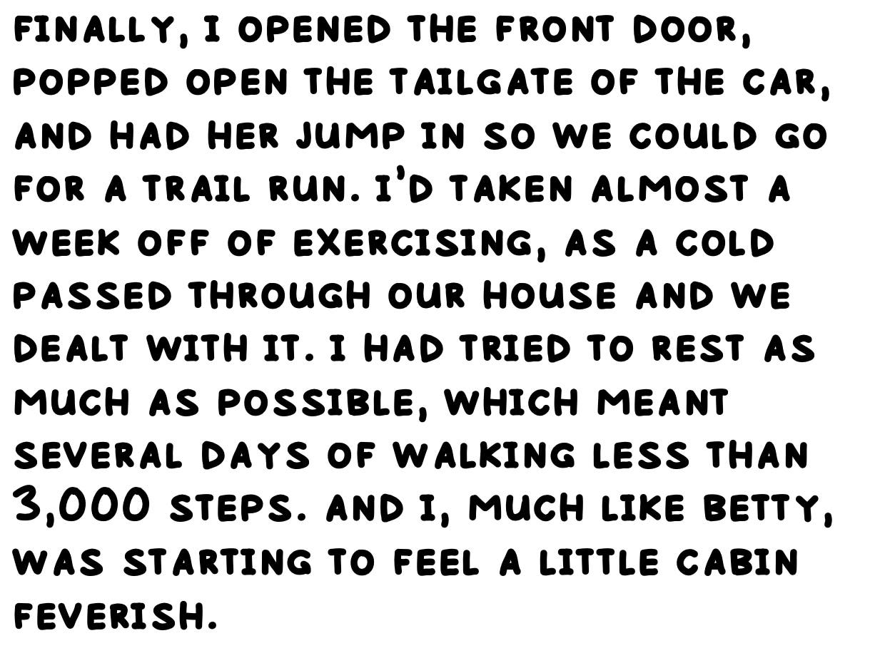 finally, i opened the front door, popped open the tailgate of the car, and had her jump in so we could go for a trail run. i’d taken almost a week off of exercising, as a cold passed through our house and we dealt with it. i had tried to rest as much as possible, which meant several days of walking less than 3,000 steps. and i, much like betty, was starting to feel a little cabin feverish.