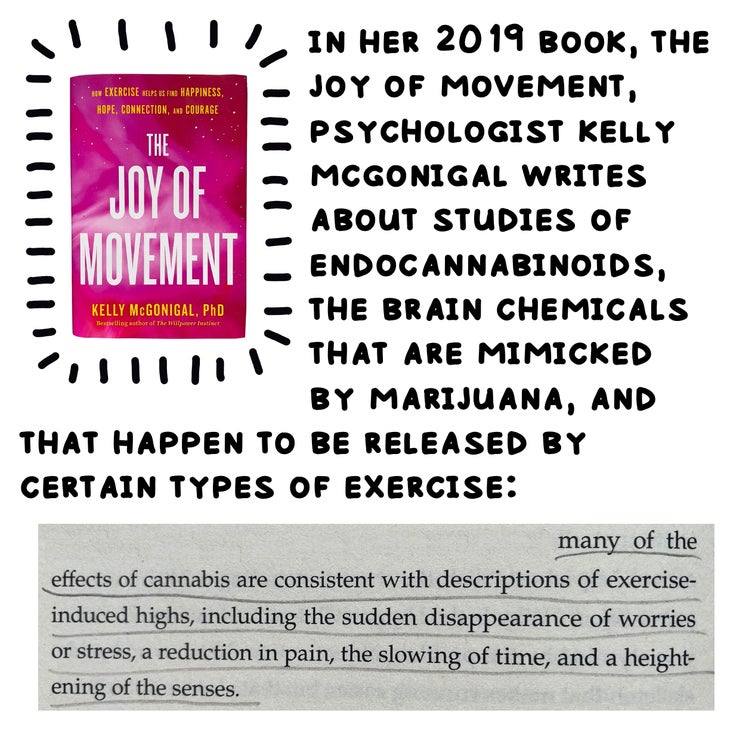 in her 2019 book, the joy of movement, psychologist kelly mcgonigal writes about studies of endocannabinoids, the brain chemicals that are mimicked by marijuana, and that happen to be released by certain types of exercise: “Many of the effects of cannabis are consistent with descriptions of exercise-induced highs, including the sudden disappearance of worries or stress, a reduction in pain, the slowing of time, and a heightening of the senses.”