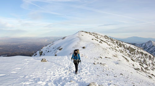 Approaching the summit of Mt Baldy.