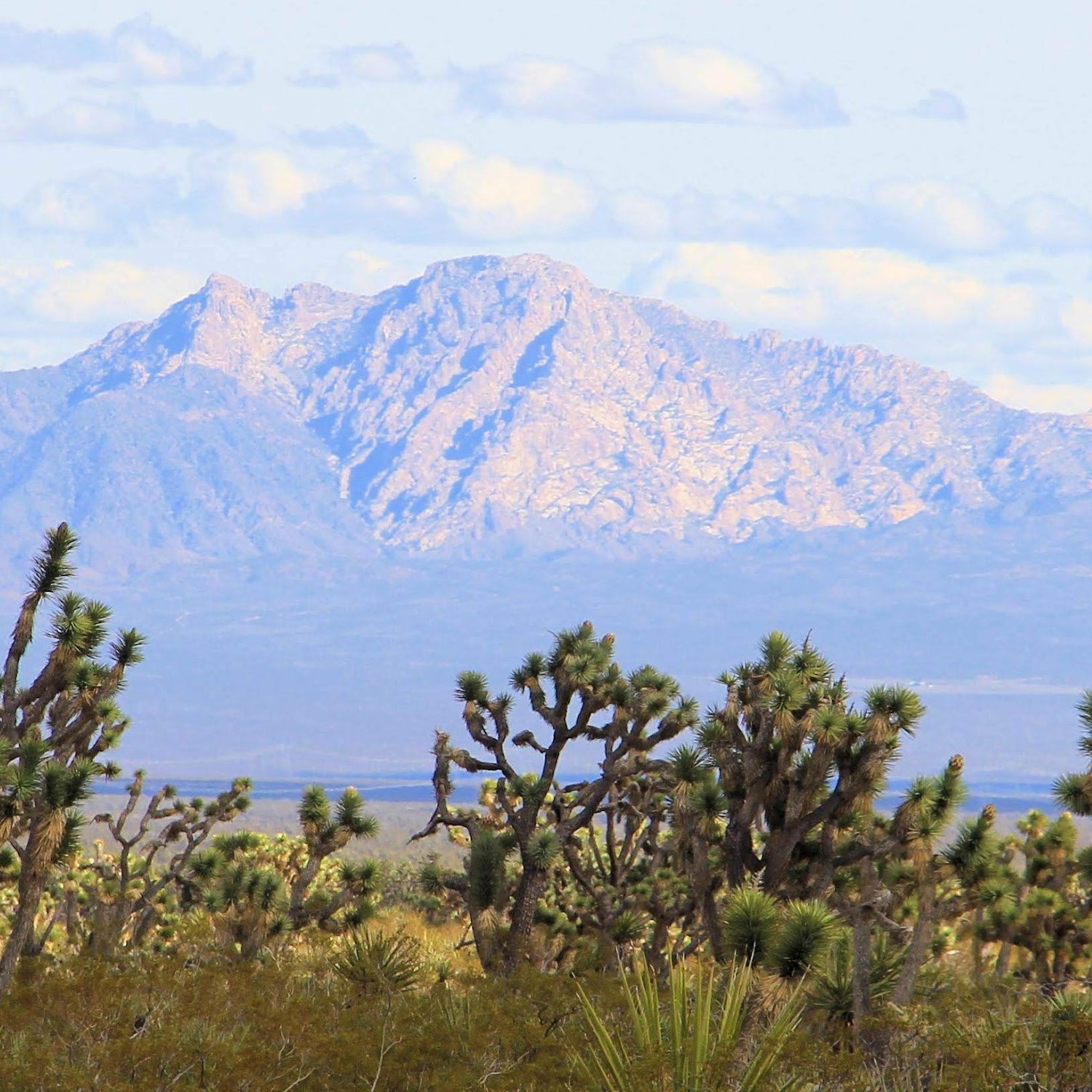 Survival of the Southern Paiute (U.S. National Park Service)