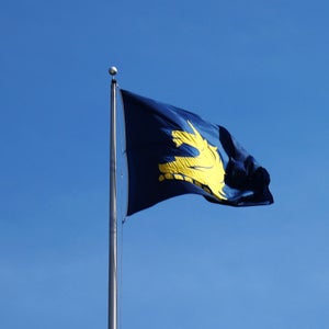 Boston Marathon Flag