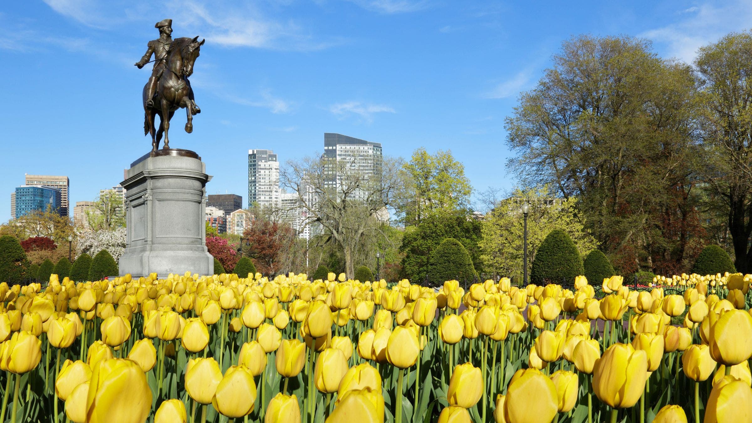 Boston Common